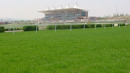 Ankara 75. Yıl Hipodromu Ankara 75. Yıl Hipodromu