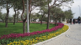 İstanbul Büyük Çamlıca Tepesi Peyzaj Uygulaması