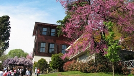 Fethi Paşa Korusu Hazır Rulo Çim Uygulaması